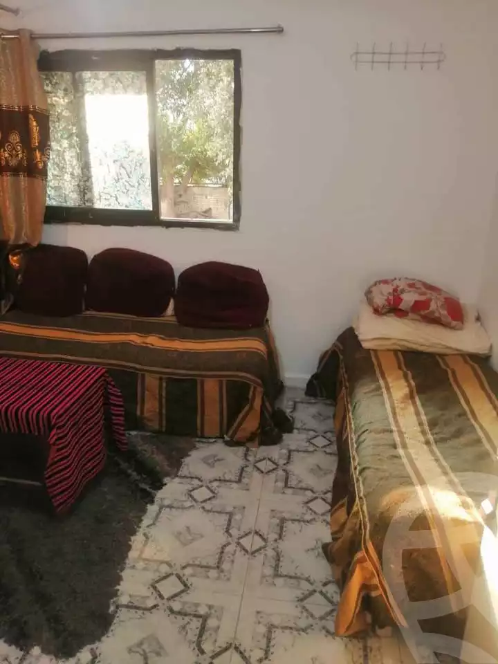 https://aqarmap.com.eg/en/listing/5993638-for-rent-cairo-dokki