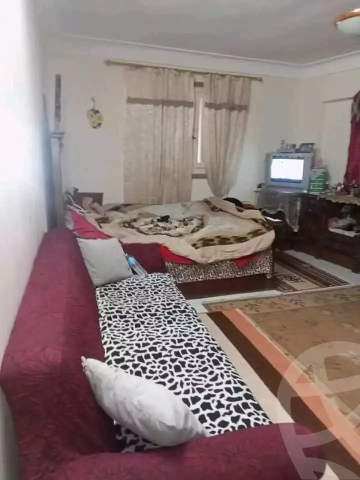 https://aqarmap.com.eg/en/listing/5997055-for-sale-alexandria-l-jmy-el-hanouvel-el-zahraa-city-st
