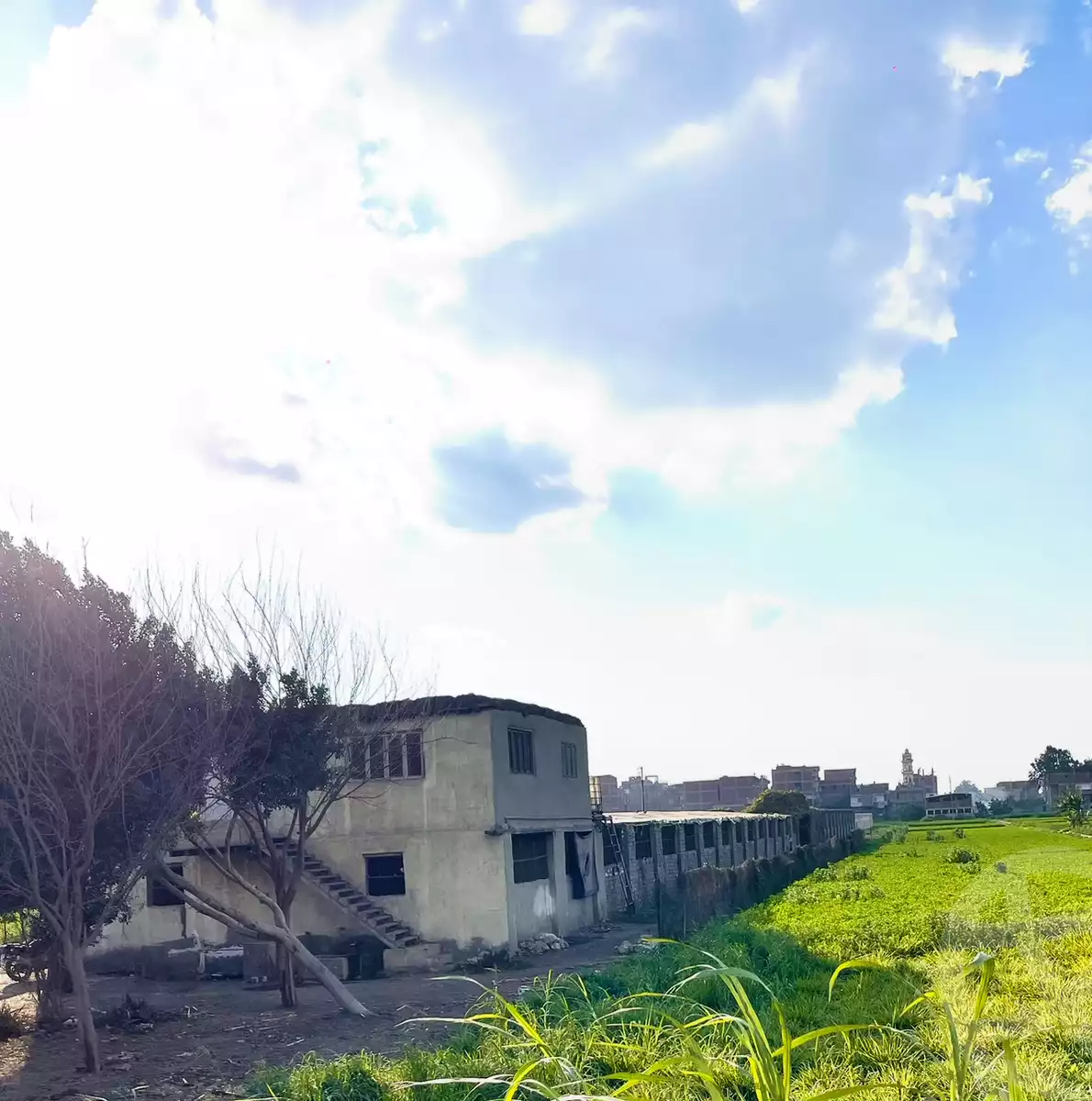 https://aqarmap.com.eg/en/listing/5997843-for-sale-dakahlia-mit-ghamr-mit-ghamr-city