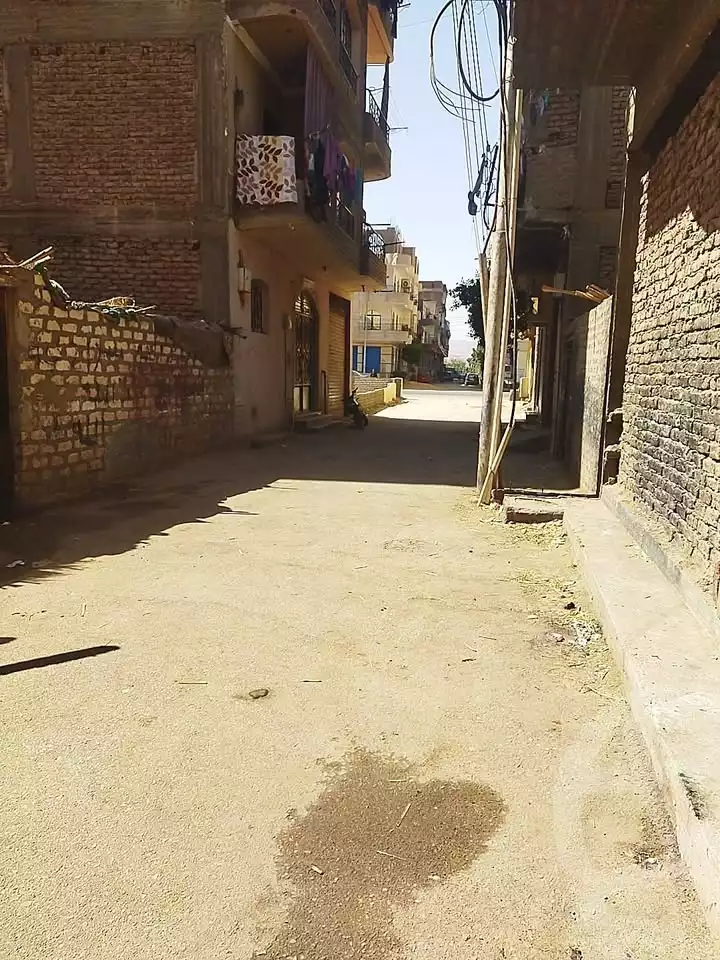 https://aqarmap.com.eg/en/listing/6000034-for-sale-luxor-luxor-city