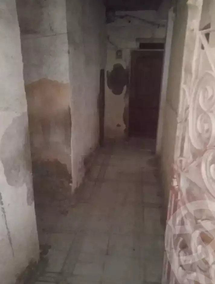 https://aqarmap.com.eg/en/listing/6001955-for-sale-alexandria-fleming