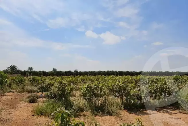 https://aqarmap.com.eg/en/listing/6002063-for-sale-sharqia-bilbeis-el-adlya