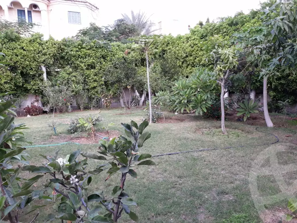https://aqarmap.com.eg/ar/listing/6005372-for-sale-alexandria-l-jmy-bw-ywsf