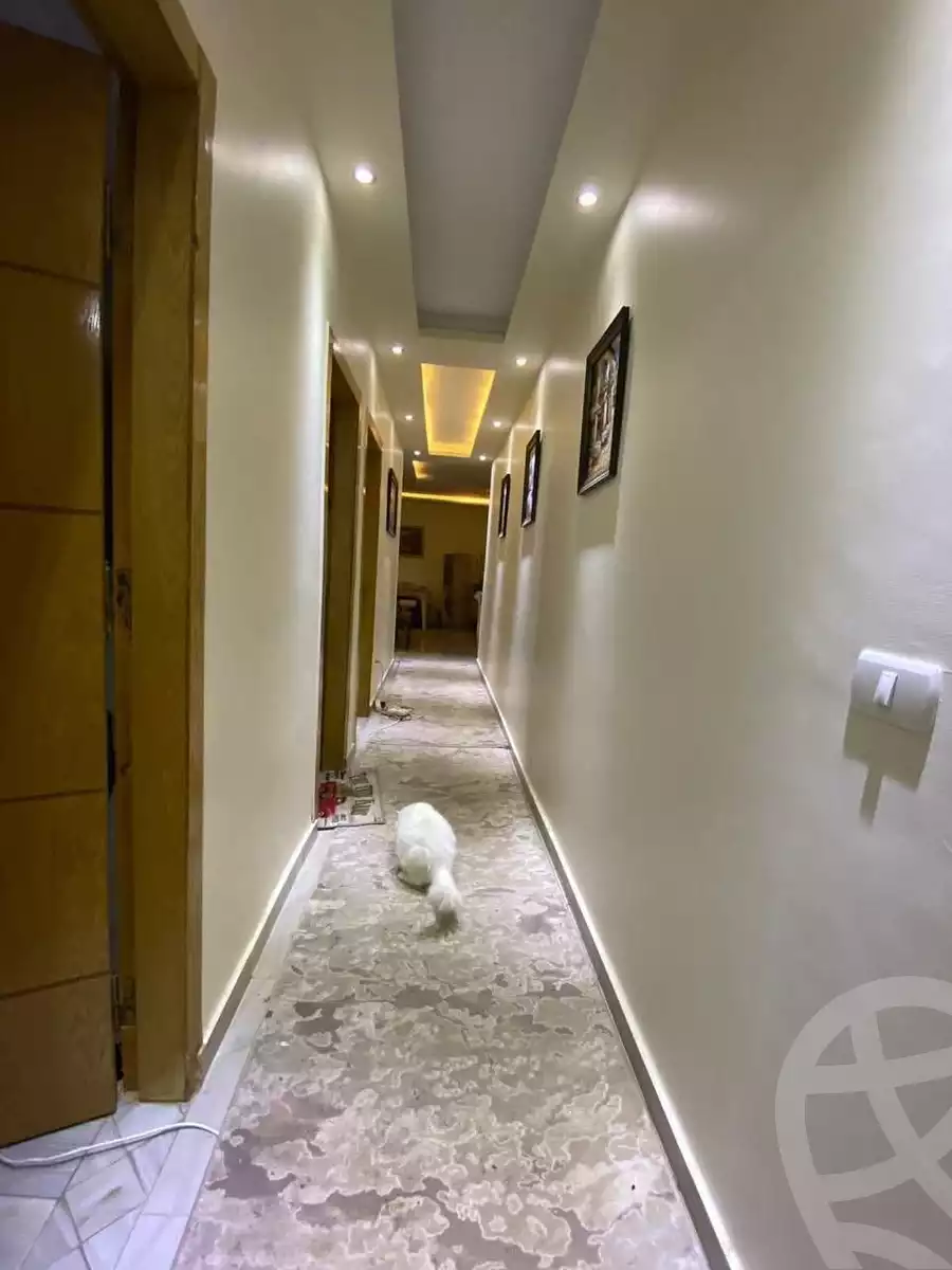 https://aqarmap.com.eg/en/listing/6005953-for-rent-cairo-mokattam-el-hadabah-el-wosta-el-mantaqa-el-olaa