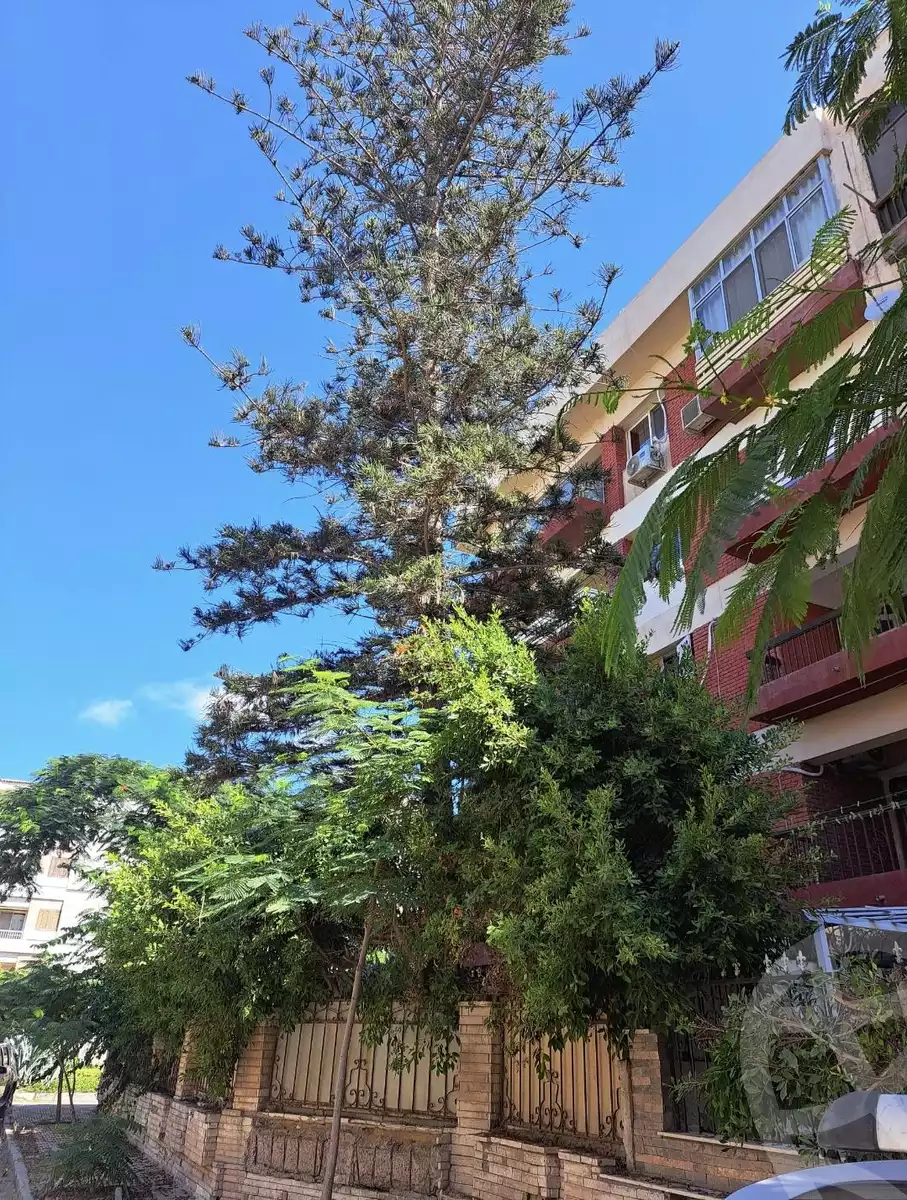 https://aqarmap.com.eg/en/listing/6006672-for-rent-alexandria-lm-mwr-lm-mwr-lshty-el-nasr-st