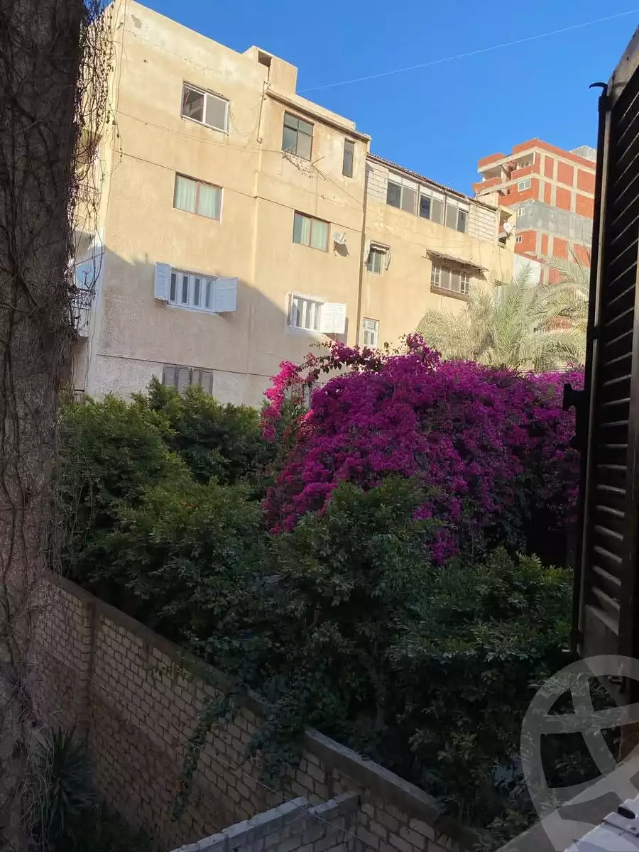 https://aqarmap.com.eg/en/listing/6007553-for-sale-alexandria-l-jmy-lbytsh-bianchiii