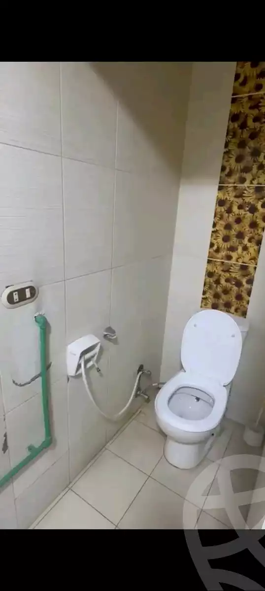 https://aqarmap.com.eg/en/listing/6007877-for-rent-alexandria-miami-shr-jml-bd-lnsr