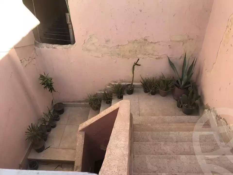 https://aqarmap.com.eg/en/listing/6008189-for-rent-cairo-el-omraneya