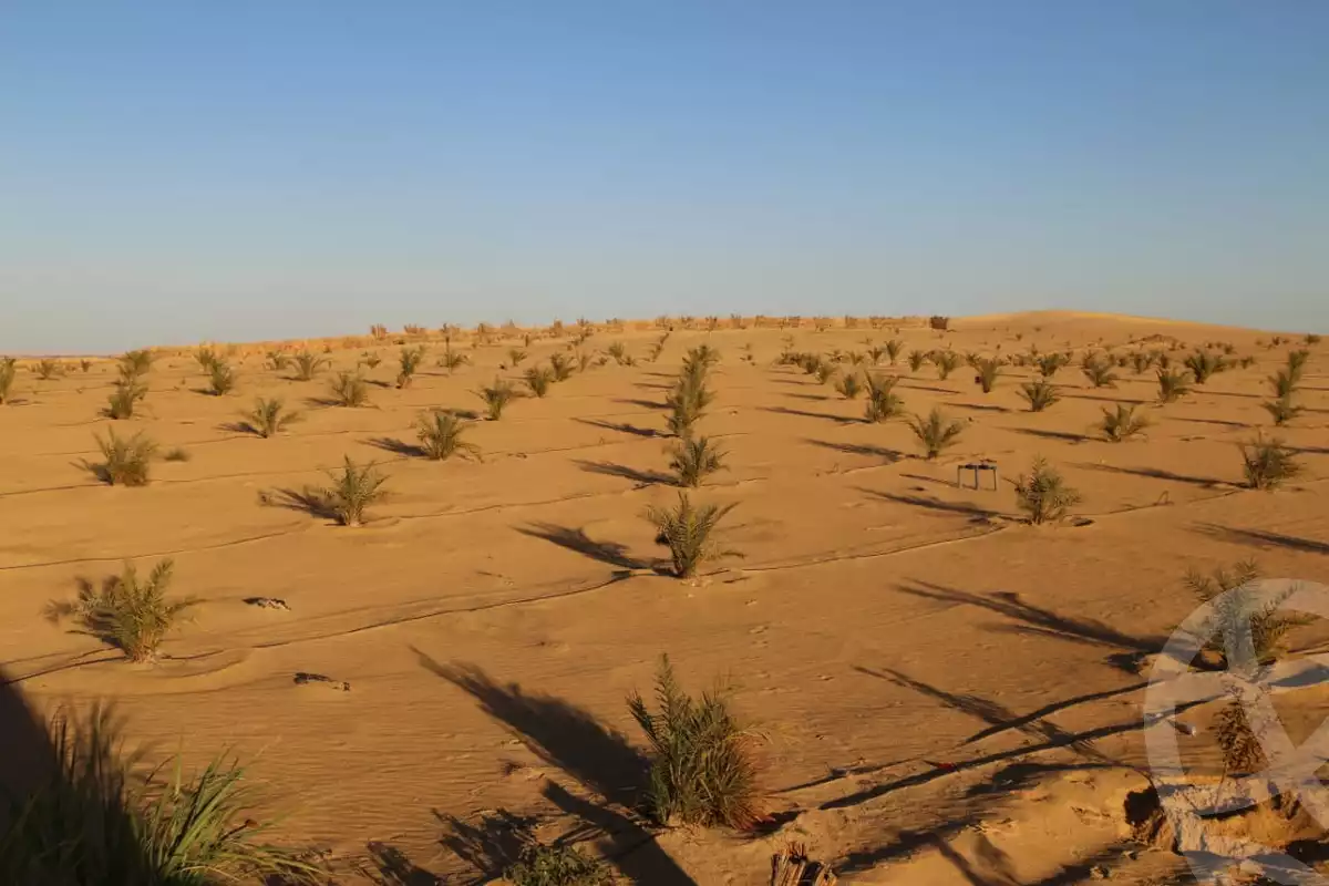 https://aqarmap.com.eg/en/listing/6008405-for-sale-marsa-matruh-siwa-oasis-wahet-siwaa-city