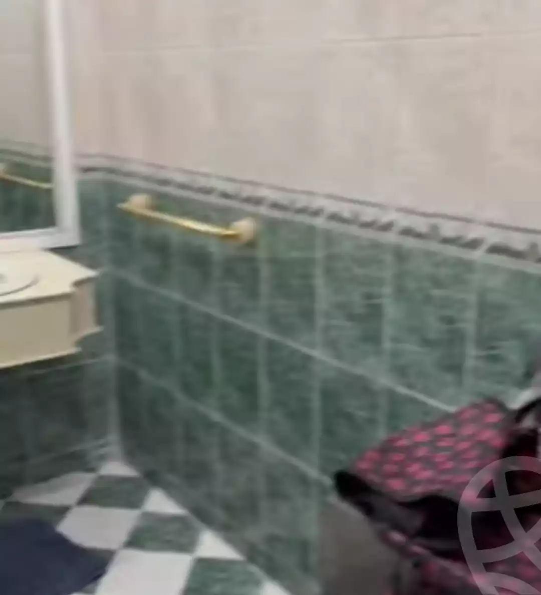 https://aqarmap.com.eg/en/listing/6010556-for-sale-cairo-ain-shams-jsr-lswys-tqsym-mr-bn-lkhtb