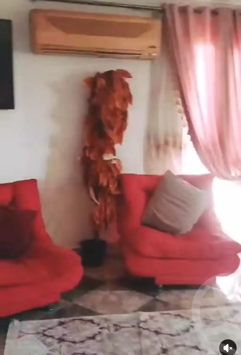 https://aqarmap.com.eg/en/listing/6011046-for-rent-cairo-el-haram-el-maryotya