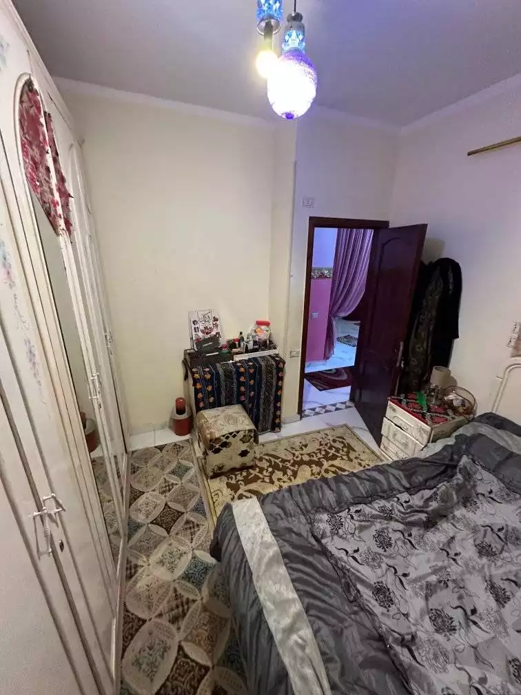 https://aqarmap.com.eg/en/listing/6011707-for-rent-qalyubia-shubra-el-khaima