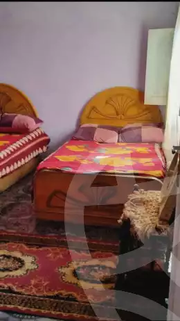 https://aqarmap.com.eg/en/listing/6019187-for-sale-cairo-ain-shams-ain-shams-el-sharkia-mostafa-nassar-st