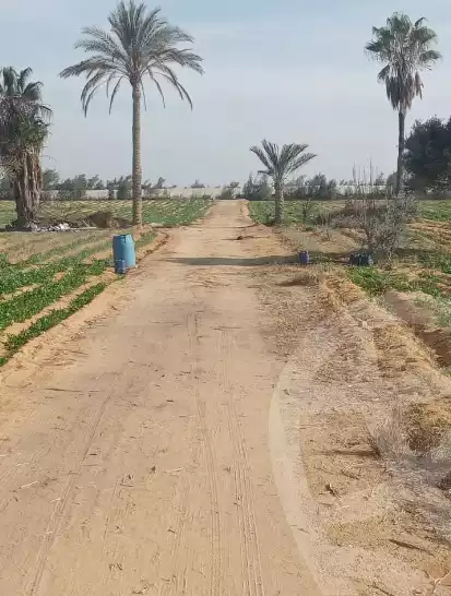 https://aqarmap.com.eg/ar/listing/6019861-for-sale-beheira-wadi-el-natrun