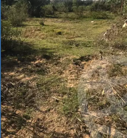 https://aqarmap.com.eg/ar/listing/6021134-for-sale-ismailia-fayed-fayad-al-gadida-st