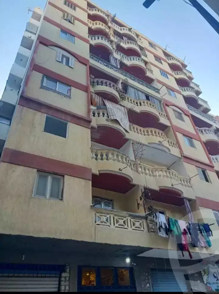 https://aqarmap.com.eg/en/listing/6021958-for-sale-alexandria-l-jmy-el-hanouvel-el-madina-el-monawwara-st