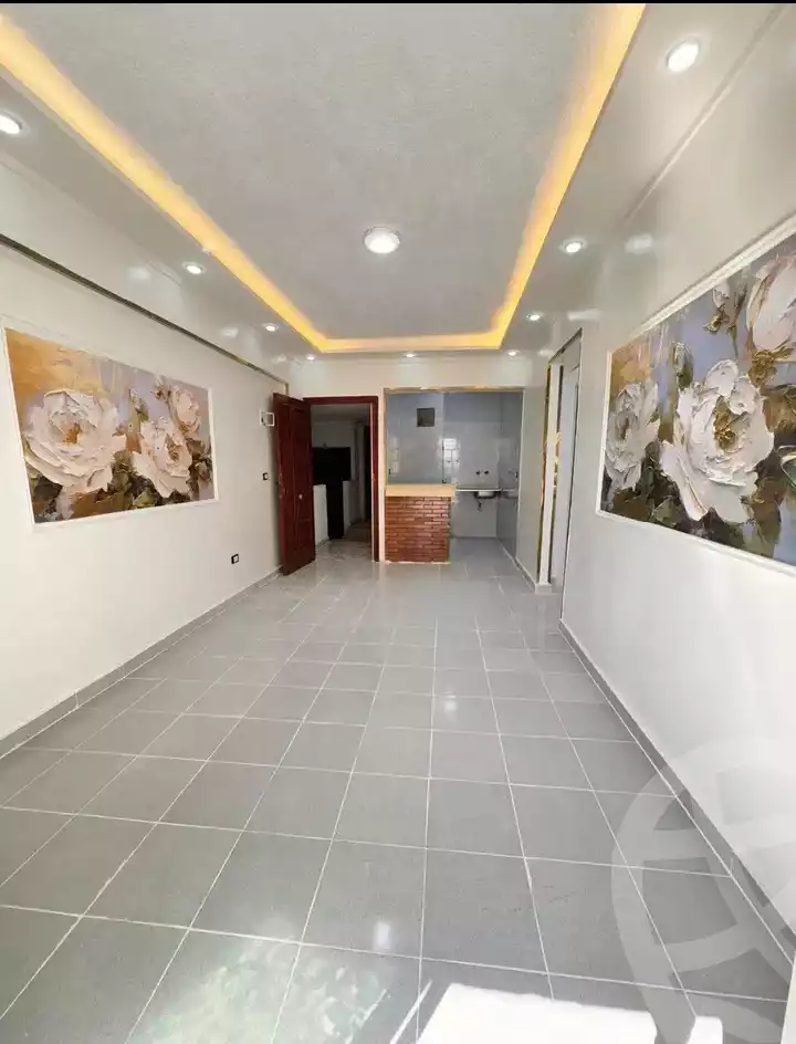 https://aqarmap.com.eg/en/listing/6025347-for-sale-alexandria-l-jmy-shataa-el-nakheel
