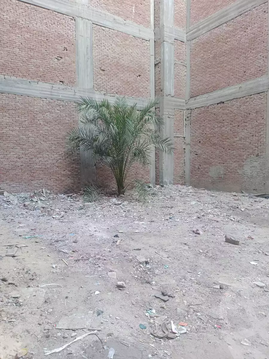 https://aqarmap.com.eg/en/listing/6026972-for-sale-beheira-damanhour-damanhour-city-al-nadi-st