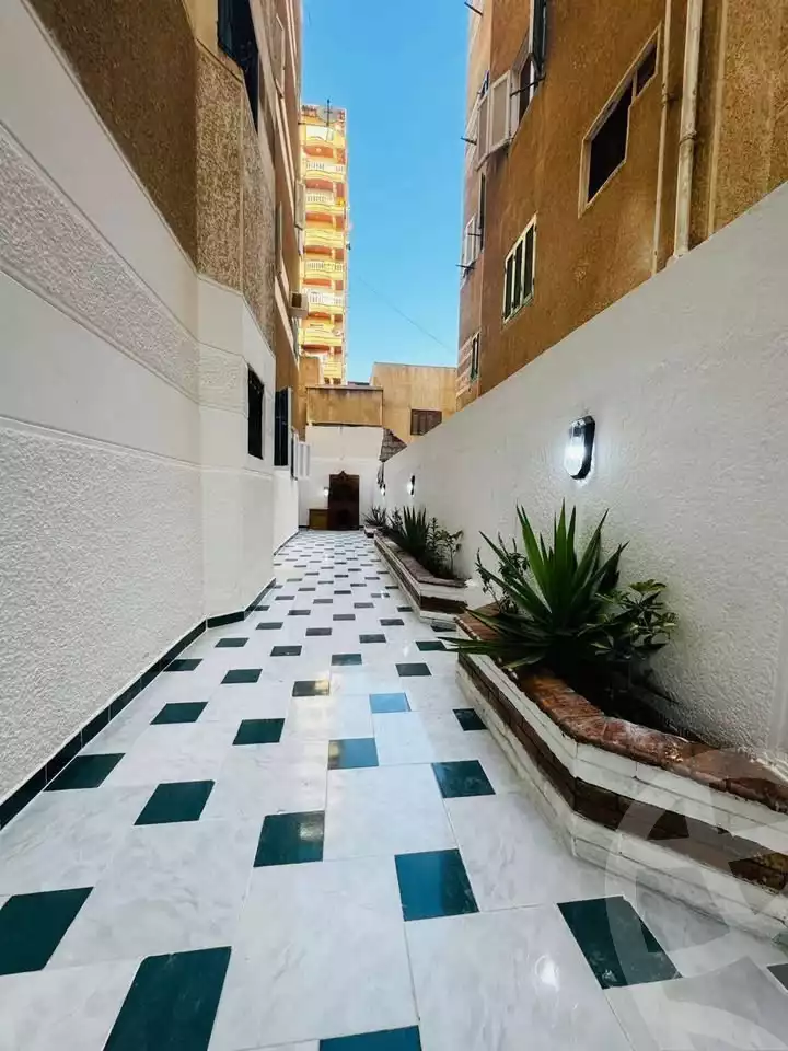 https://aqarmap.com.eg/ar/listing/6026994-for-sale-alexandria-l-jmy-shataa-el-nakheel