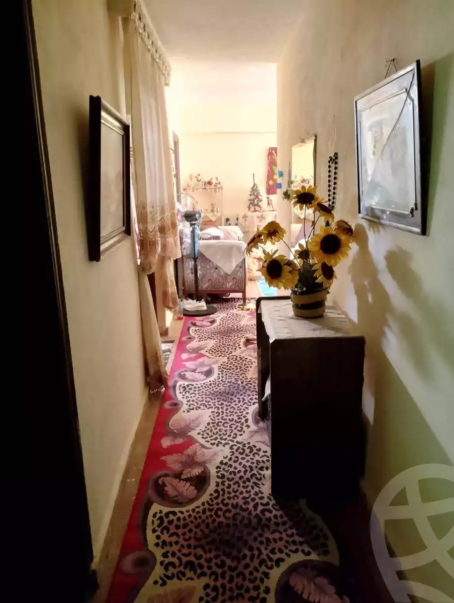 https://aqarmap.com.eg/en/listing/6027264-for-rent-alexandria-l-jmy-lbytsh-bianchiii