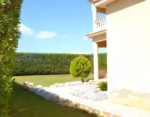https://aqarmap.com.eg/en/listing/6027797-for-sale-alexandria-abu-talat
