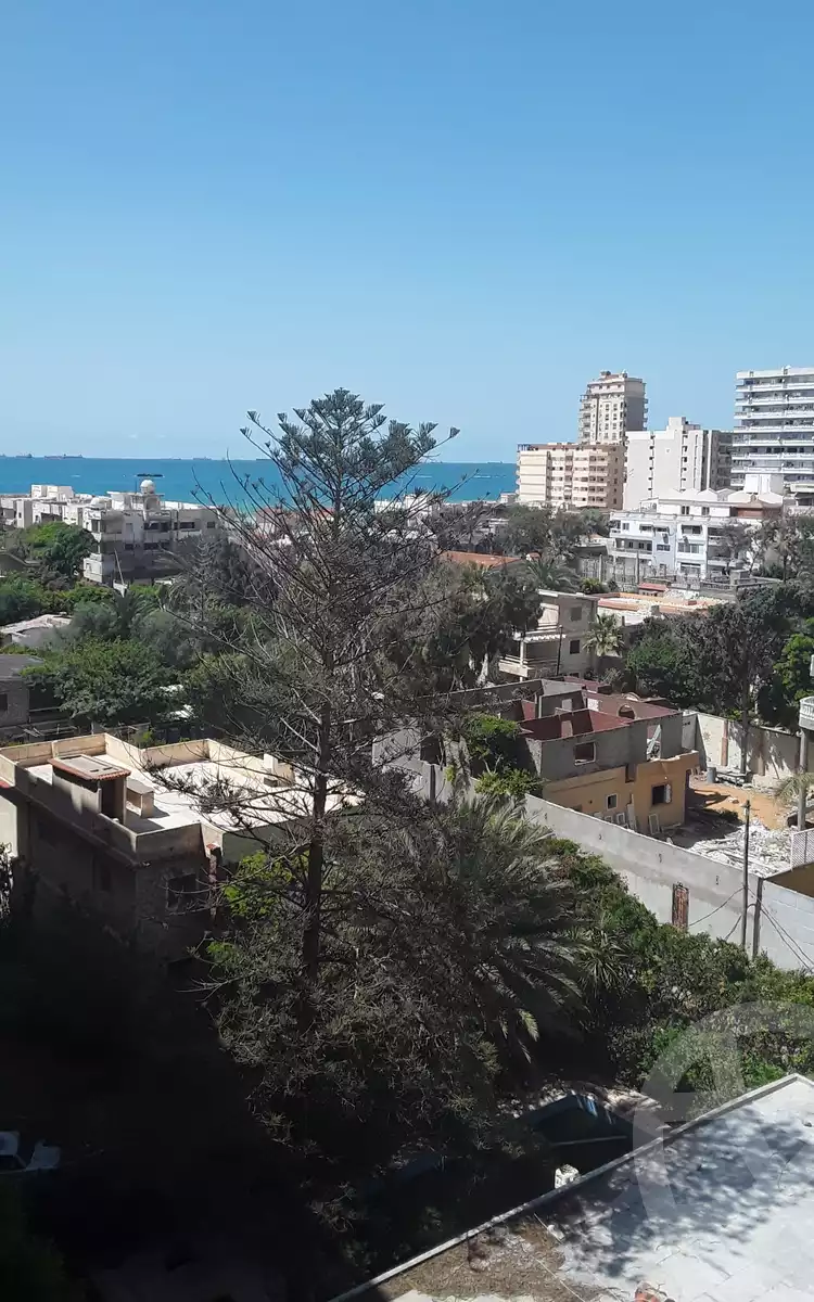 https://aqarmap.com.eg/en/listing/6027973-for-rent-alexandria-l-jmy-lbytsh-bianchiii