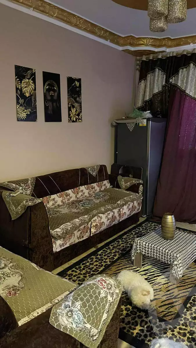 https://aqarmap.com.eg/ar/listing/6029050-for-sale-alexandria-l-jmy-lbytsh-el-hanafeya-st