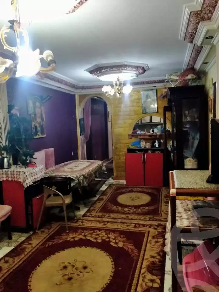 https://aqarmap.com.eg/ar/listing/6029446-for-sale-alexandria-l-jmy-lbytsh-el-bostan-st