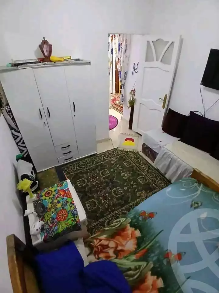 https://aqarmap.com.eg/en/listing/6030702-for-rent-alexandria-l-jmy-lbytsh-el-hay-st