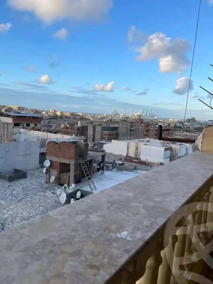 https://aqarmap.com.eg/en/listing/6031570-for-sale-alexandria-l-jmy-lbytsh-el-reyad-st