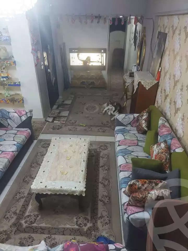 https://aqarmap.com.eg/en/listing/6032106-for-sale-alexandria-miami-bilal-ibn-rabbah-st