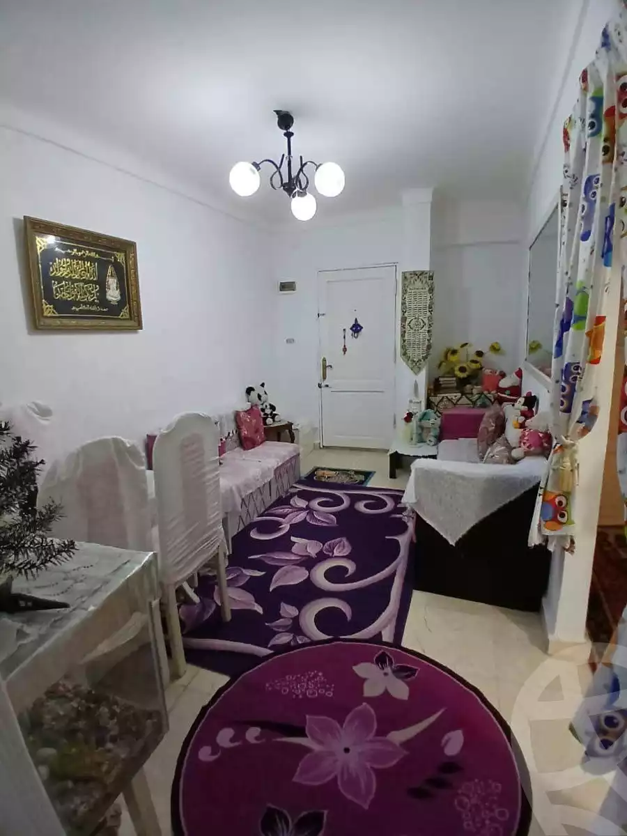 https://aqarmap.com.eg/en/listing/6032231-for-sale-alexandria-l-jmy-lbytsh-princess-st