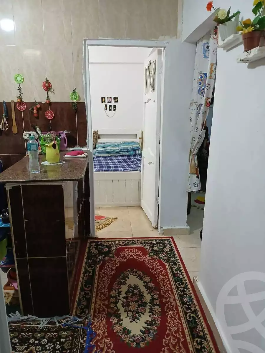 https://aqarmap.com.eg/en/listing/6032231-for-sale-alexandria-l-jmy-lbytsh-princess-st