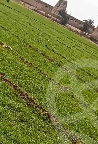 https://aqarmap.com.eg/en/listing/6034828-for-sale-el-fayoum-lfywm-ljdyd