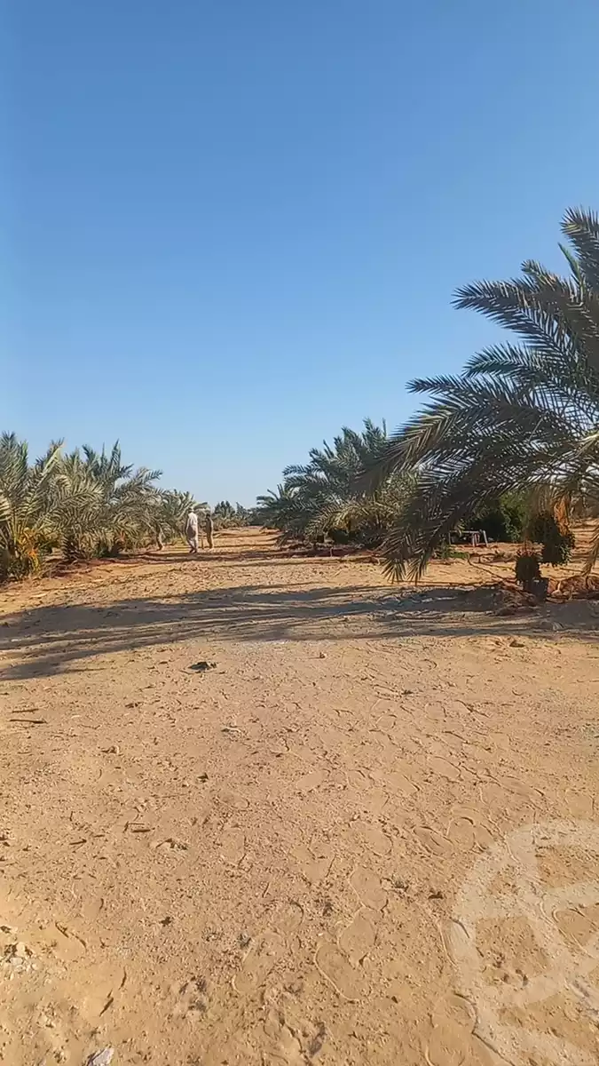 https://aqarmap.com.eg/en/listing/6035061-for-sale-cairo-ljyz-bahariya-oasis