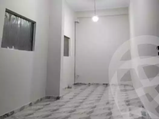 https://aqarmap.com.eg/en/listing/6027185-for-rent-cairo-ljyz-wsym
