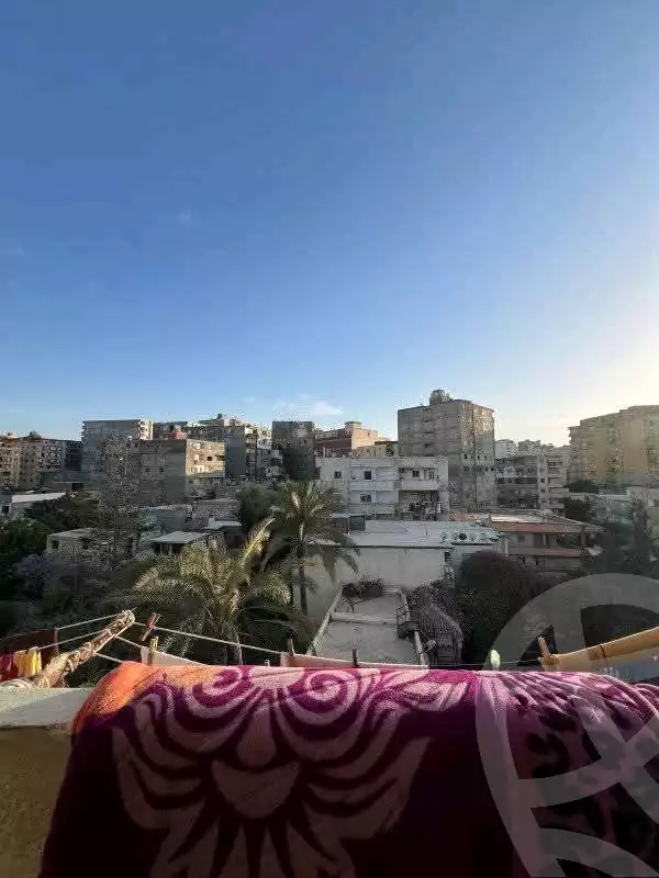 https://aqarmap.com.eg/en/listing/6037132-for-sale-alexandria-l-jmy-lbytsh-khalil-ballw-st
