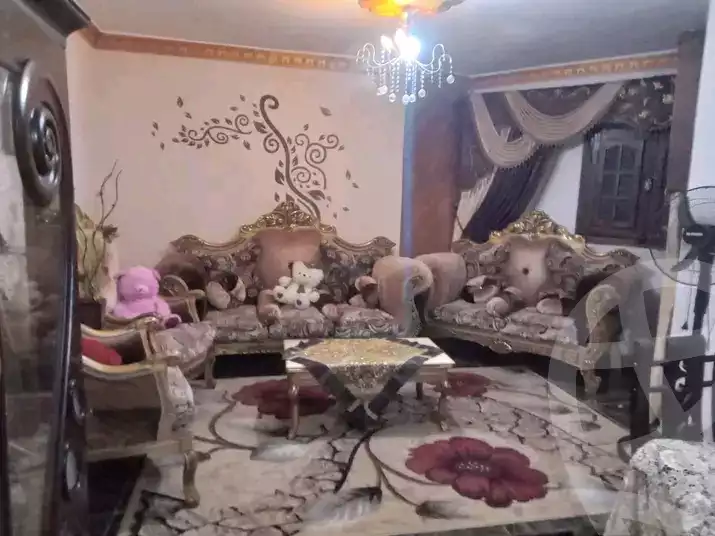 https://aqarmap.com.eg/ar/listing/6045126-for-sale-alexandria-l-jmy-lbytsh-al-aeda-al-kadema-st