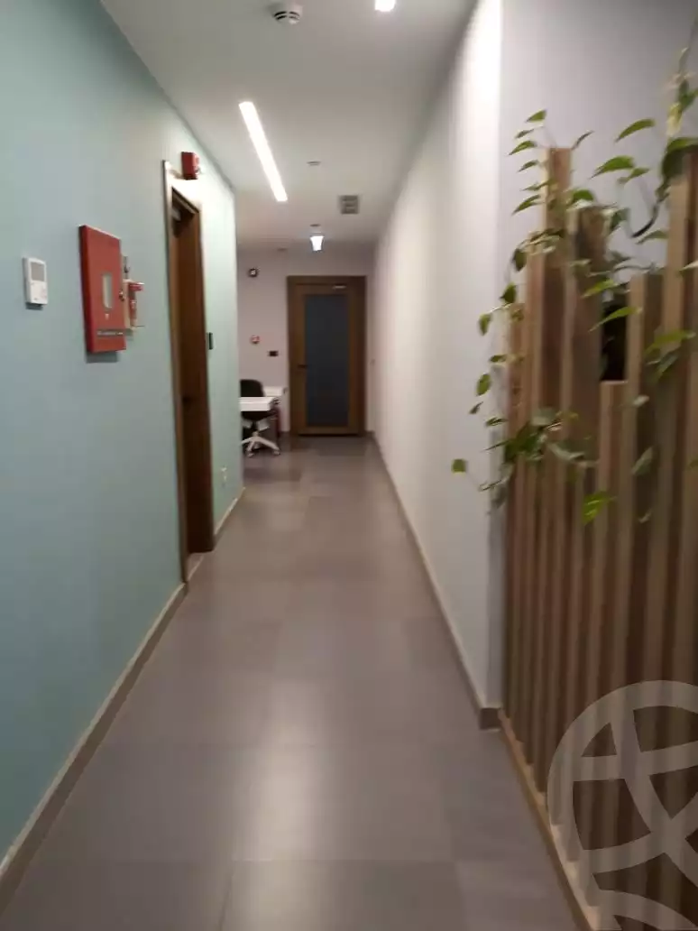 https://aqarmap.com.eg/ar/listing/6046214-for-rent-cairo-new-cairo-gharb-arabila-doctor-hani-maher-st