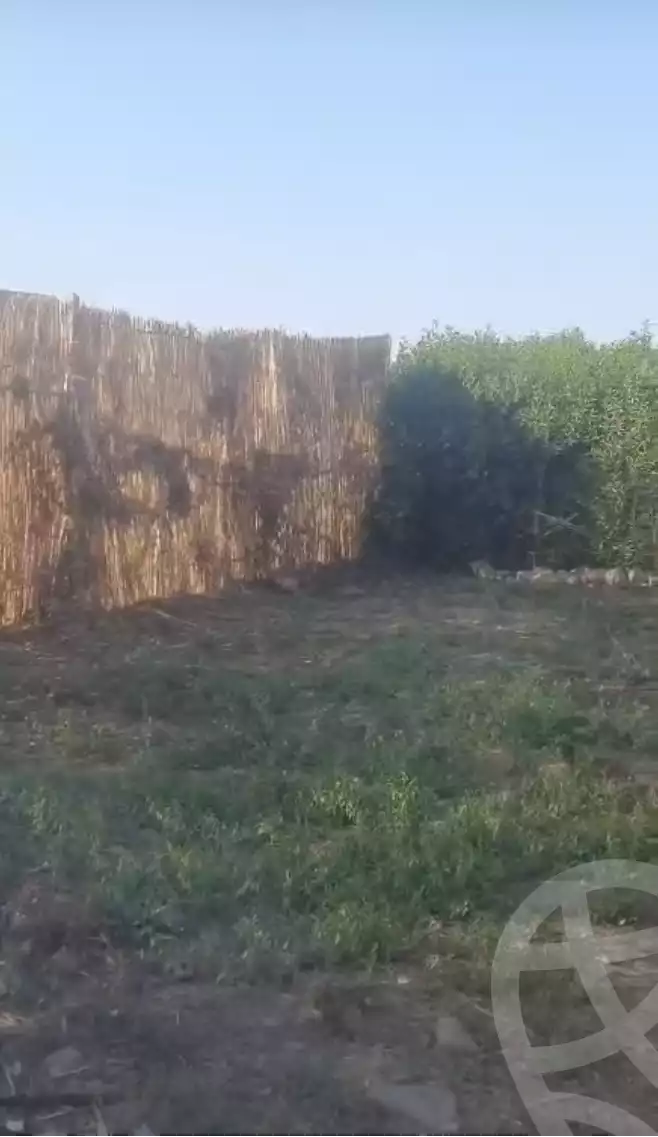 https://aqarmap.com.eg/en/listing/6047332-for-sale-monufia-ashmoun