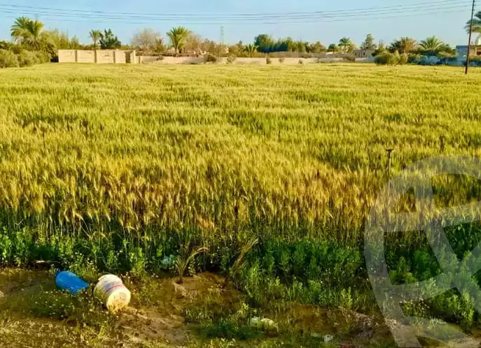 https://aqarmap.com.eg/en/listing/6047807-for-sale-beheira-wadi-el-natrun