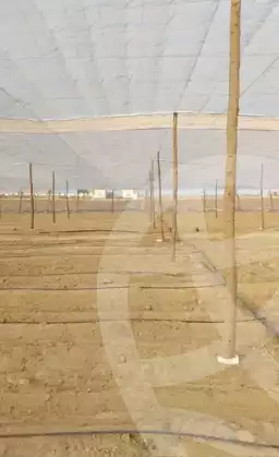https://aqarmap.com.eg/ar/listing/6049102-for-sale-beheira-wadi-el-natrun