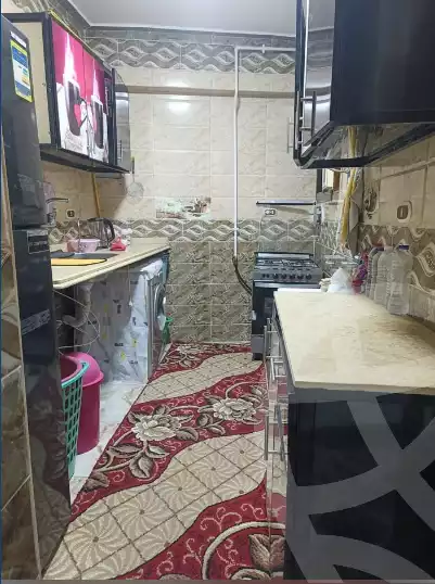 https://aqarmap.com.eg/en/listing/6049944-for-sale-alexandria-l-jmy-lbytsh-el-bostan-st