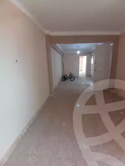 https://aqarmap.com.eg/en/listing/6050167-for-sale-alexandria-l-jmy-lbytsh-abd-el-fattah-el-talkhawy