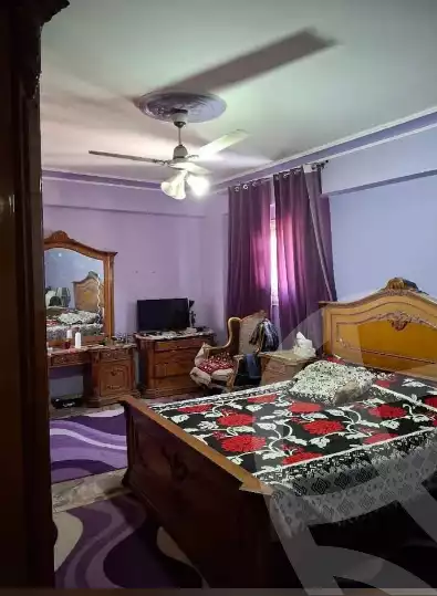 https://aqarmap.com.eg/ar/listing/6050188-for-sale-alexandria-l-jmy-lbytsh-qased-kareem-st