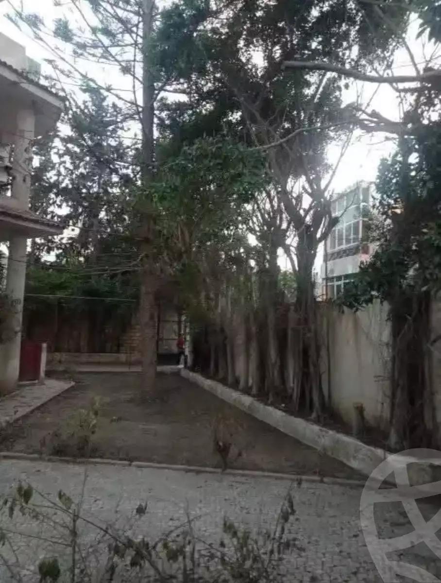 https://aqarmap.com.eg/en/listing/6050658-for-sale-alexandria-l-jmy-bw-ywsf