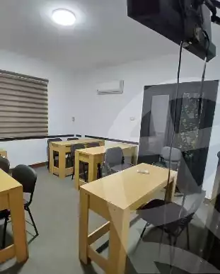 https://aqarmap.com.eg/en/listing/6051397-for-rent-cairo-dokki