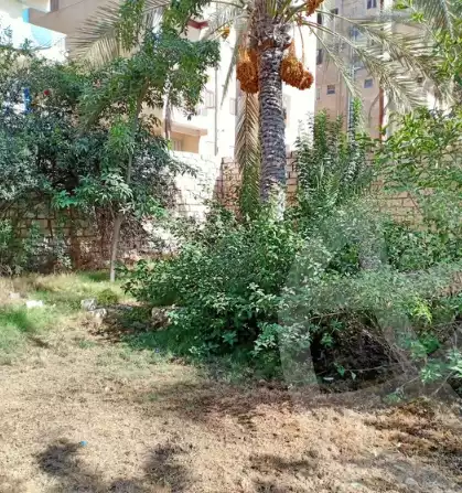 https://aqarmap.com.eg/ar/listing/6054932-for-sale-alexandria-l-jmy-el-hanouvel-el-zahraa-city-st