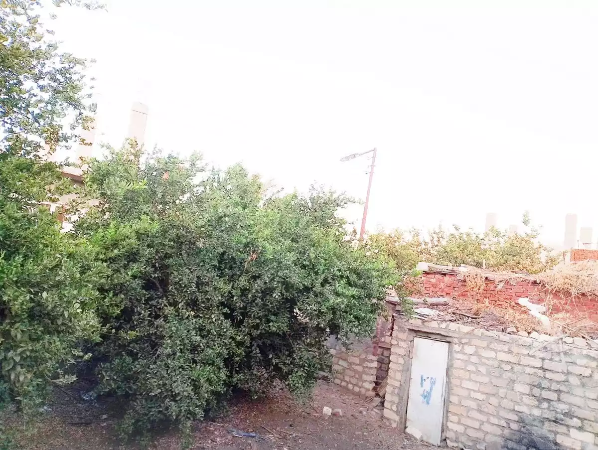 https://aqarmap.com.eg/en/listing/6057325-for-sale-ismailia-kassassin