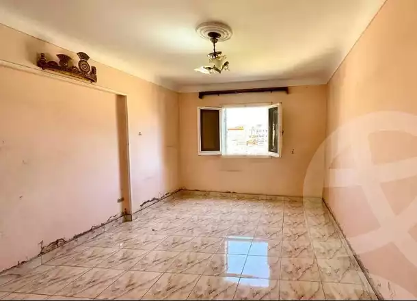 https://aqarmap.com.eg/en/listing/6061452-for-sale-alexandria-zezenia-schutz-station-st